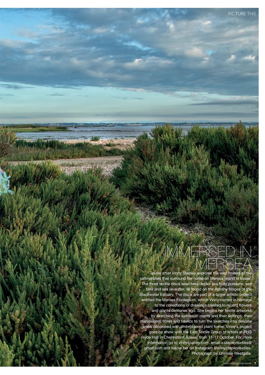 Saltwater Living Preview Pages