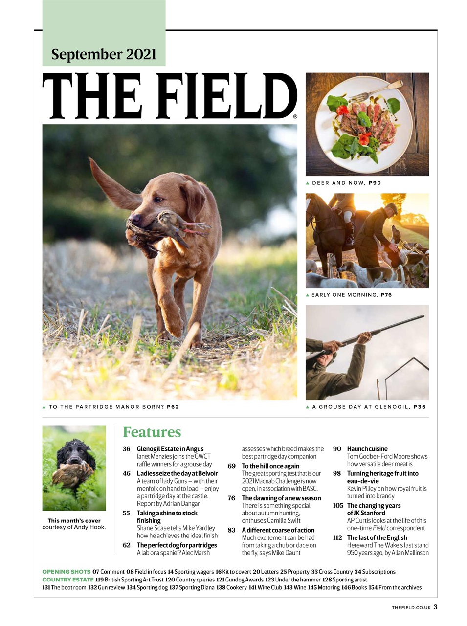 The Field Preview Pages