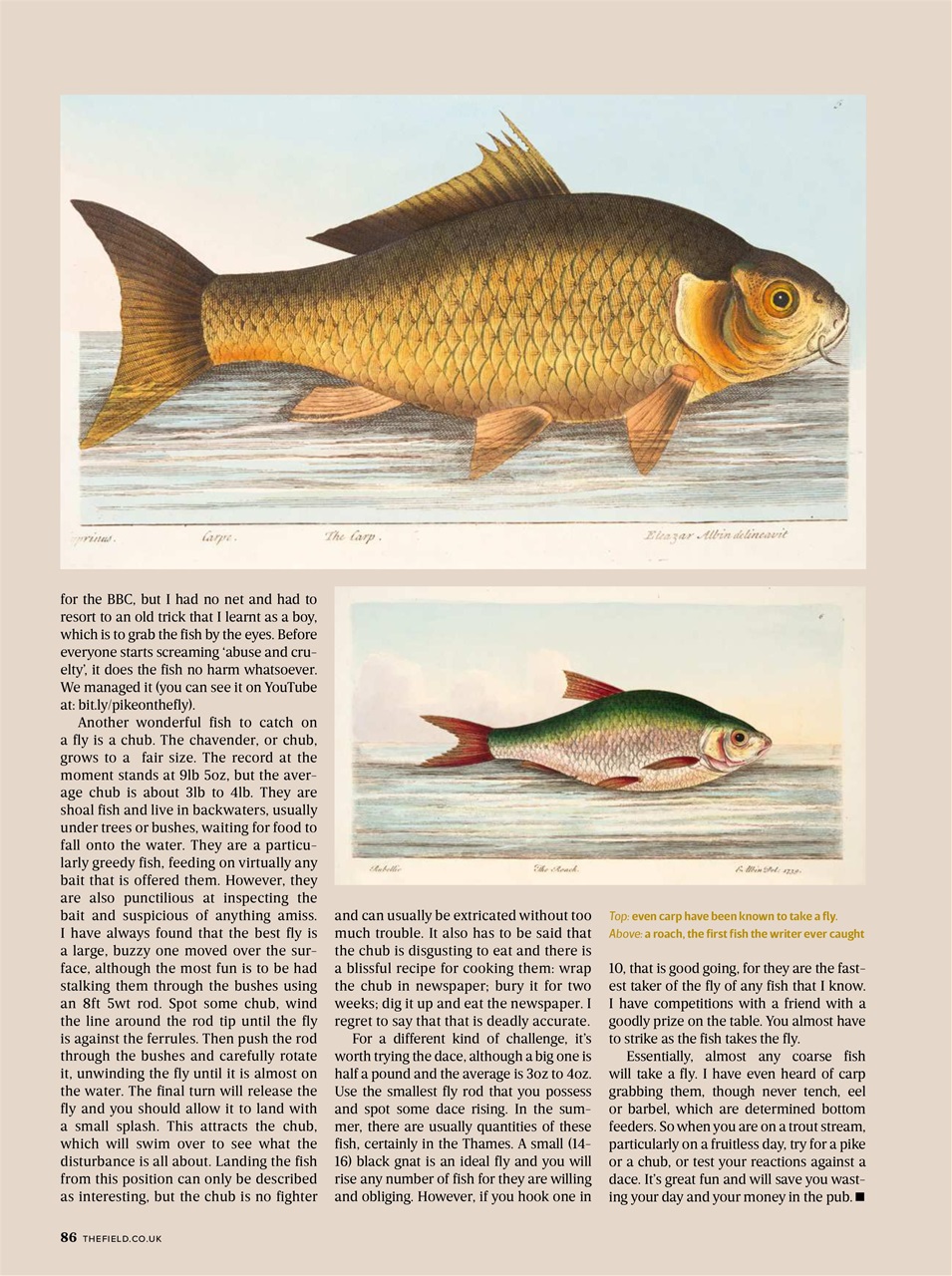 The Field Preview Pages