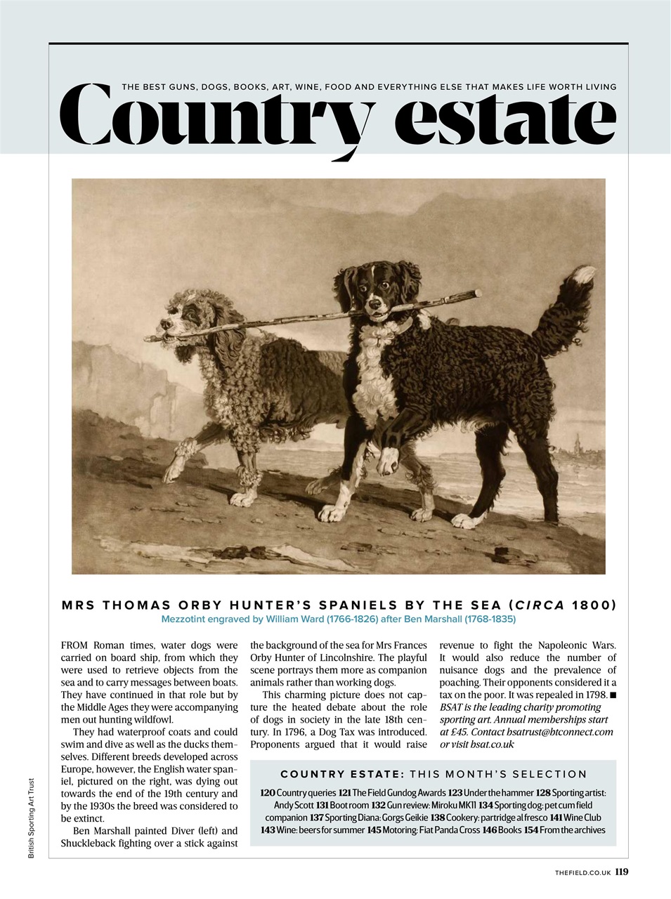 The Field Preview Pages