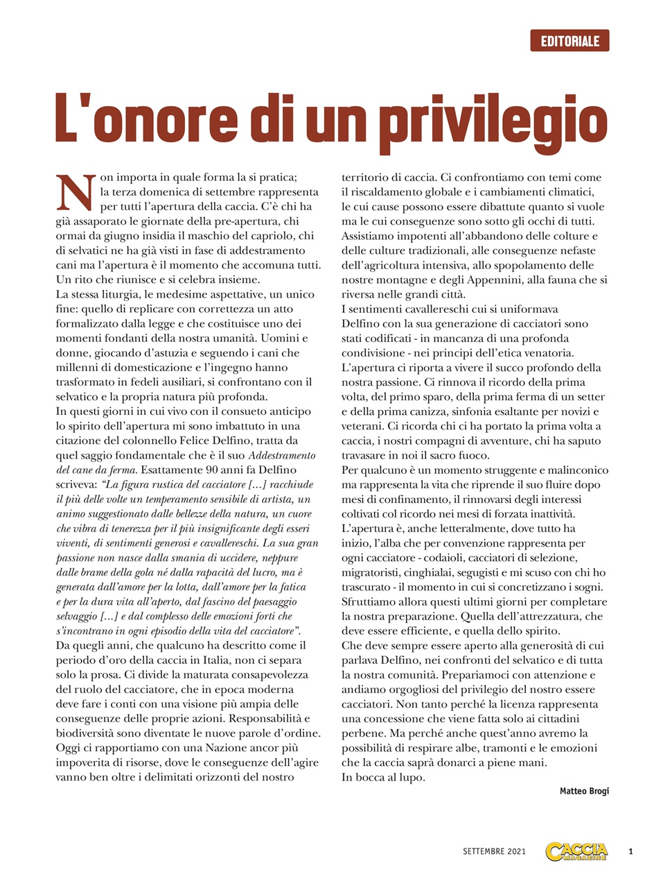 Caccia Magazine Preview Pages