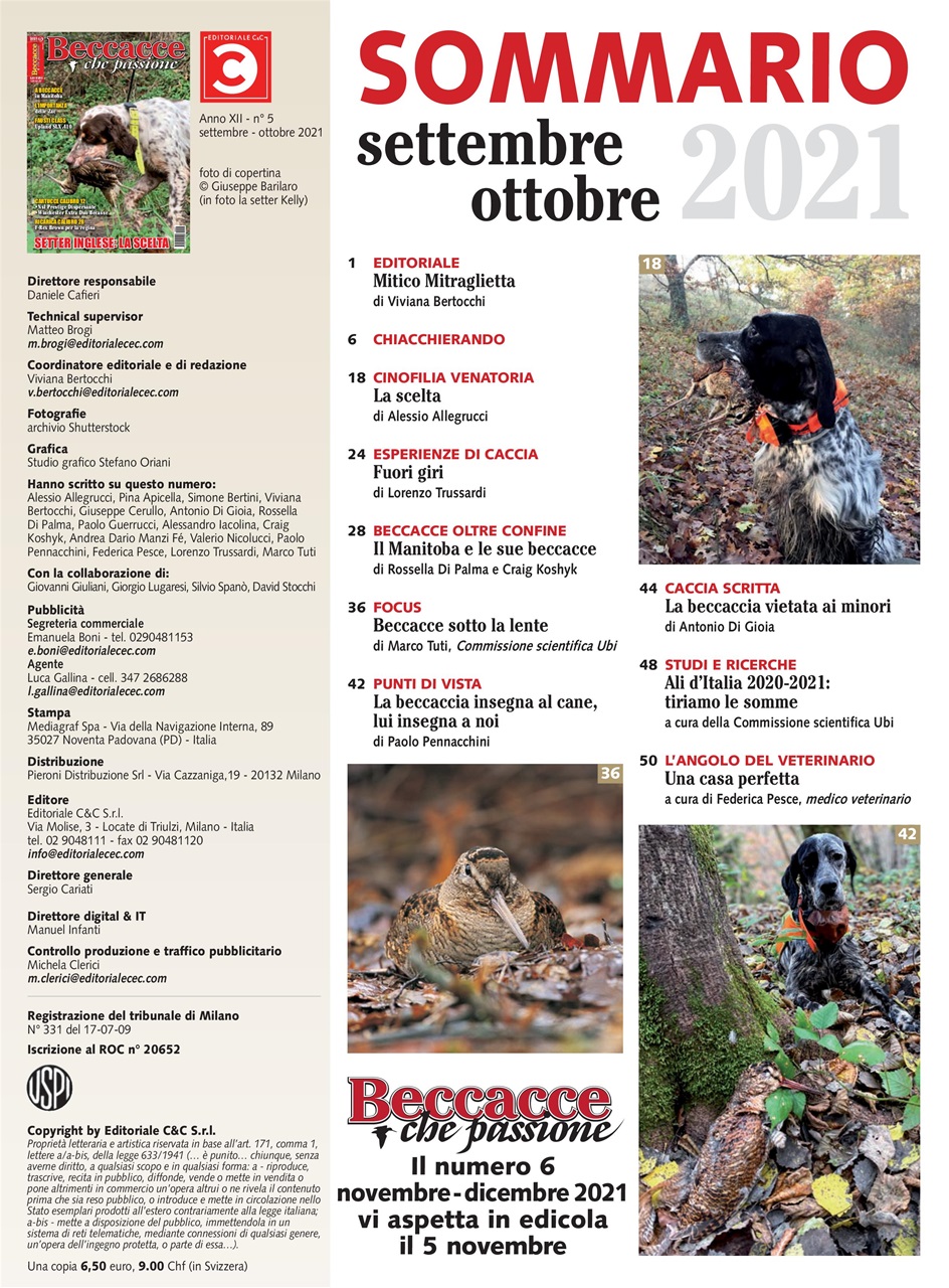 BECCACCE CHE PASSIONE Preview Pages