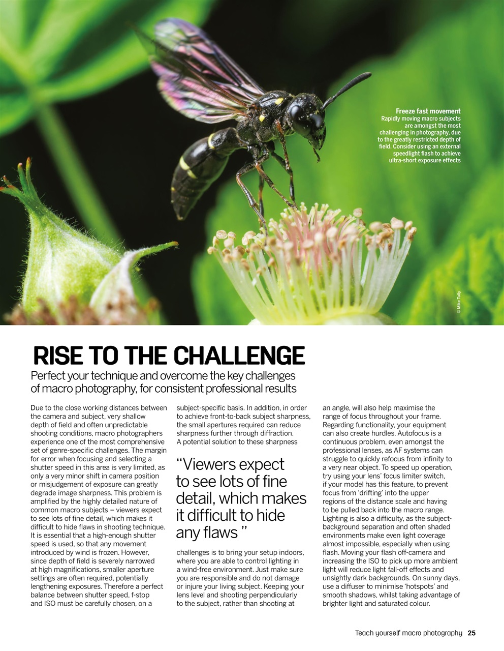 Photography Bookazine Preview Pages