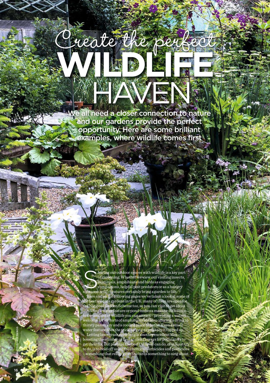 Garden Answers Preview Pages