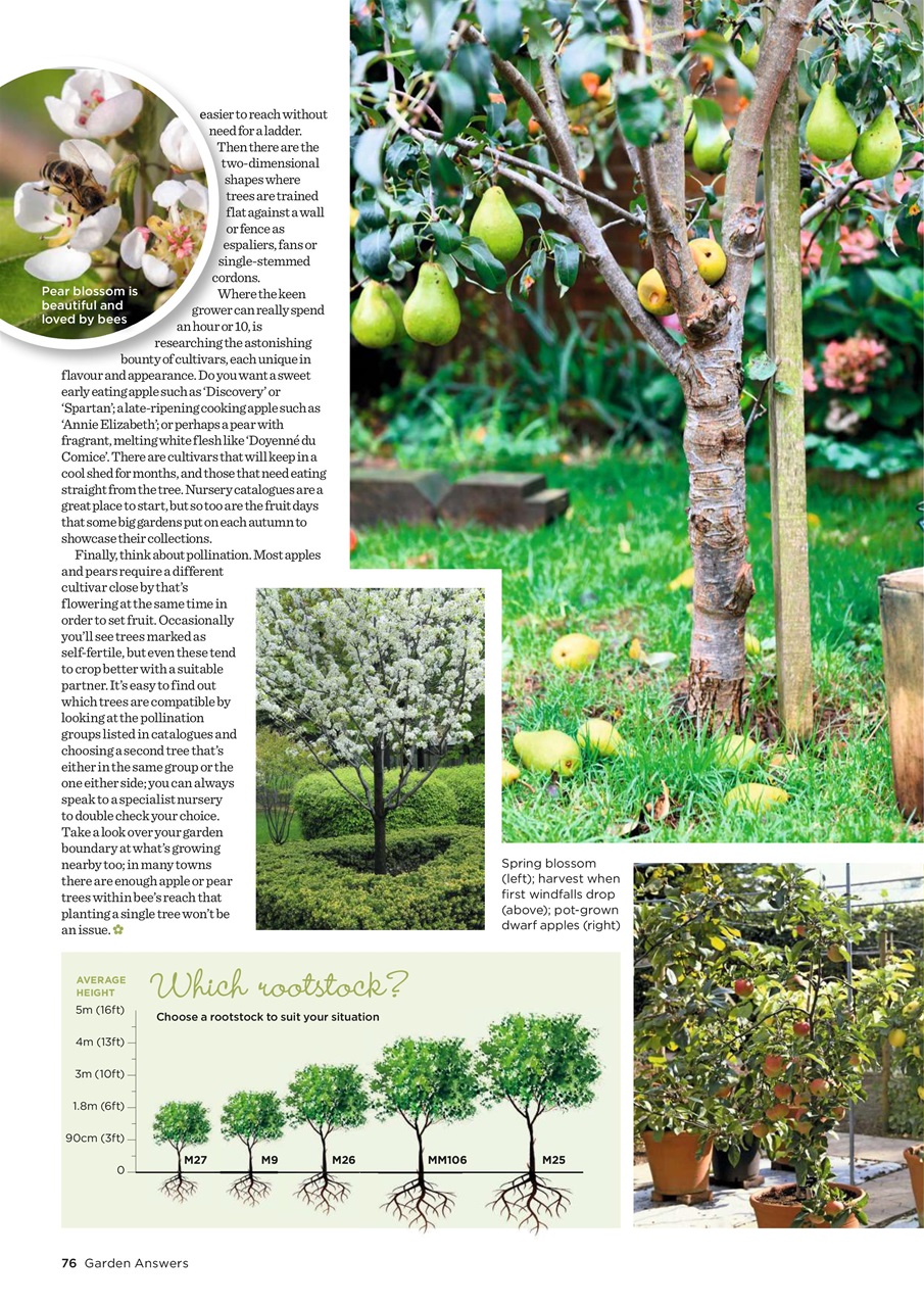 Garden Answers Preview Pages