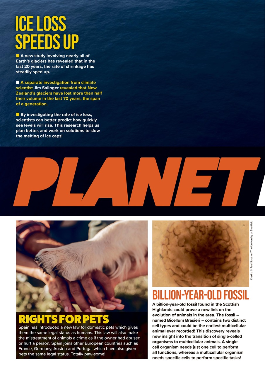 Animal Planet Kids Preview Pages