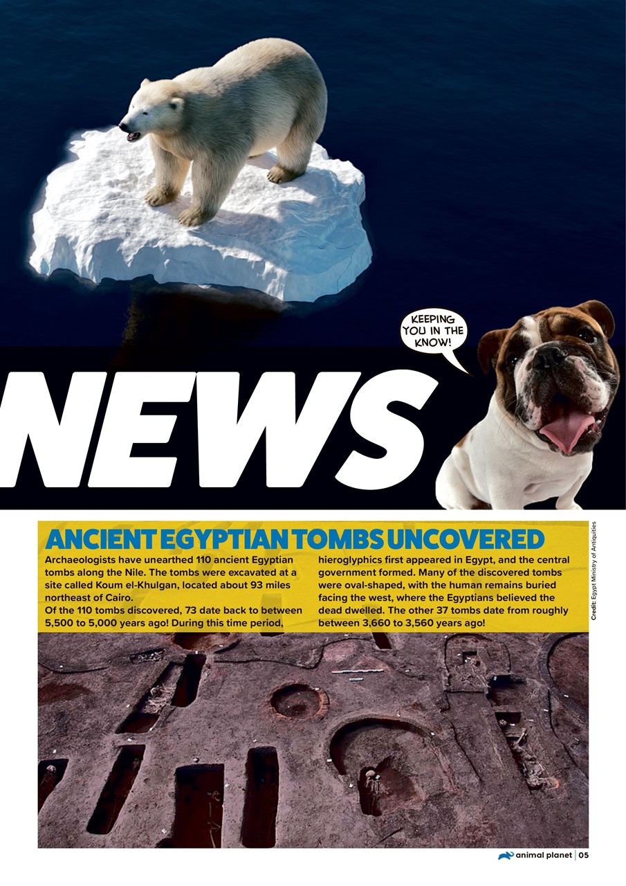 Animal Planet Kids Preview Pages