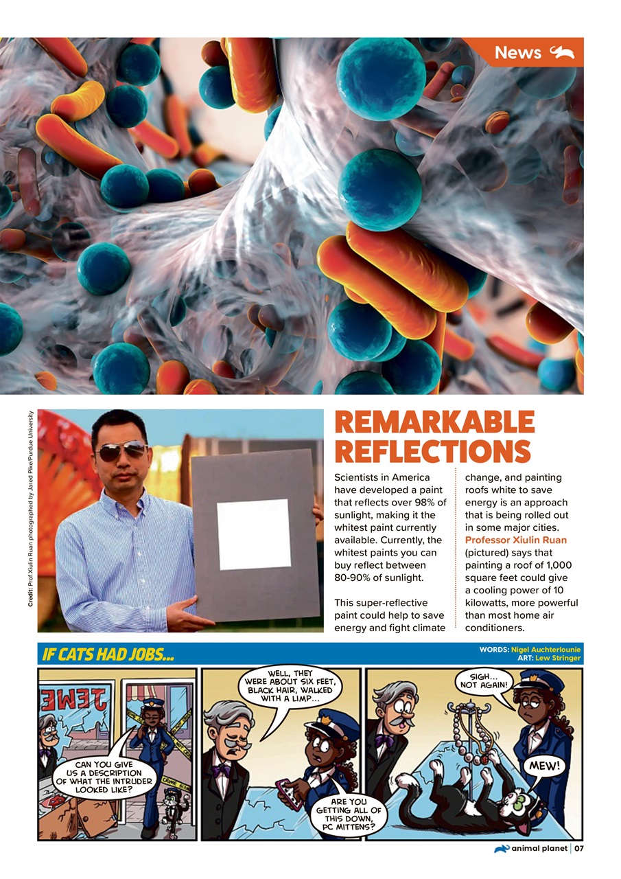 Animal Planet Kids Preview Pages