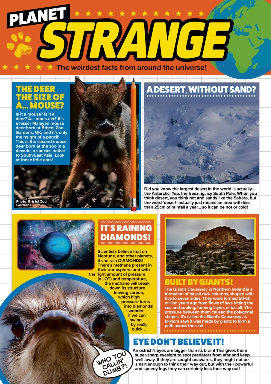 Animal Planet Kids Preview Pages