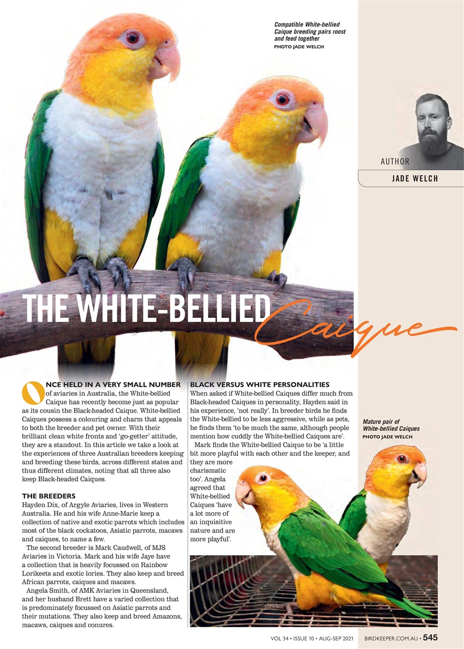 Australian Birdkeeper Magazine Preview Pages