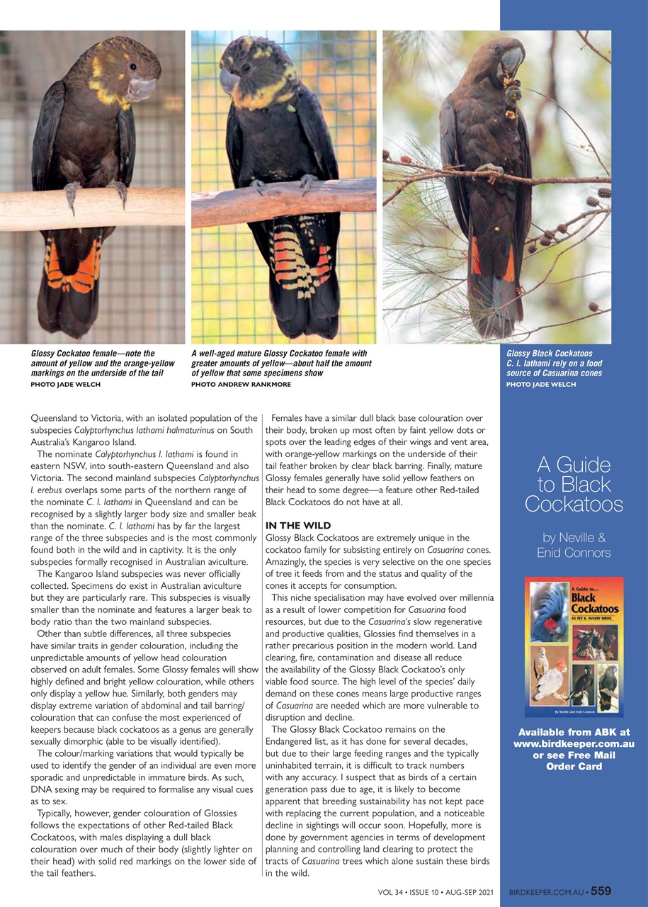 Australian Birdkeeper Magazine Preview Pages
