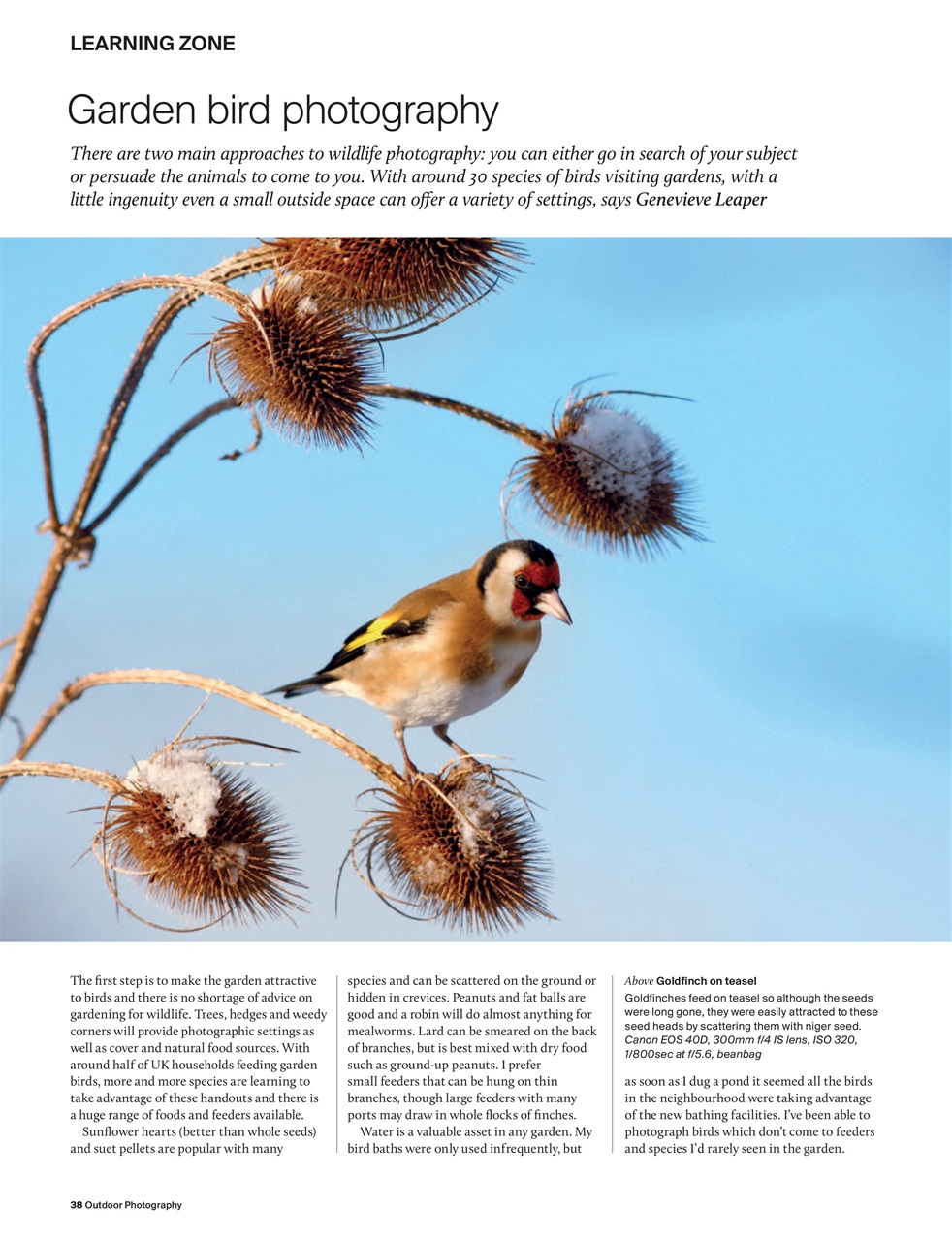 Outdoor Photography Preview Pages