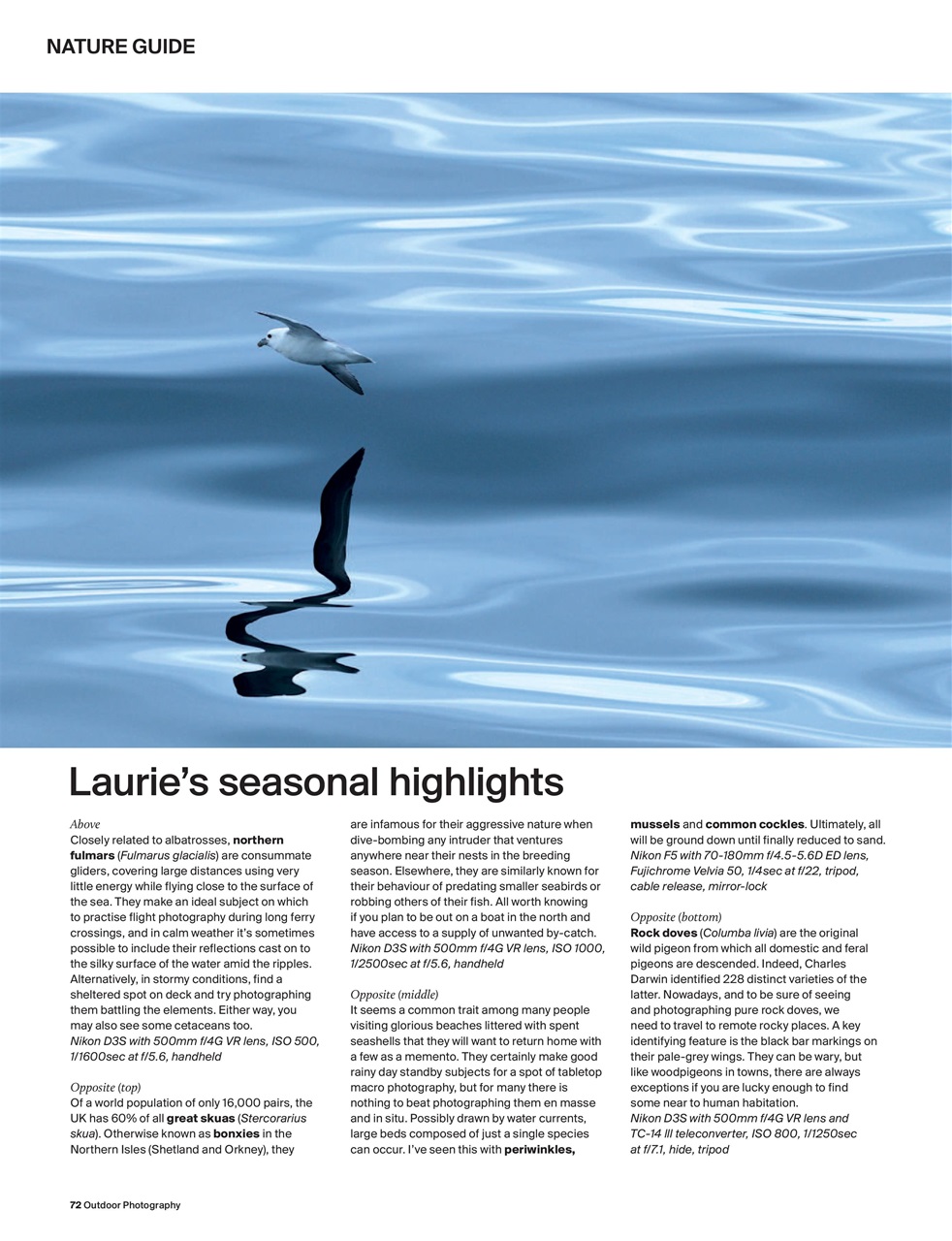 Outdoor Photography Preview Pages