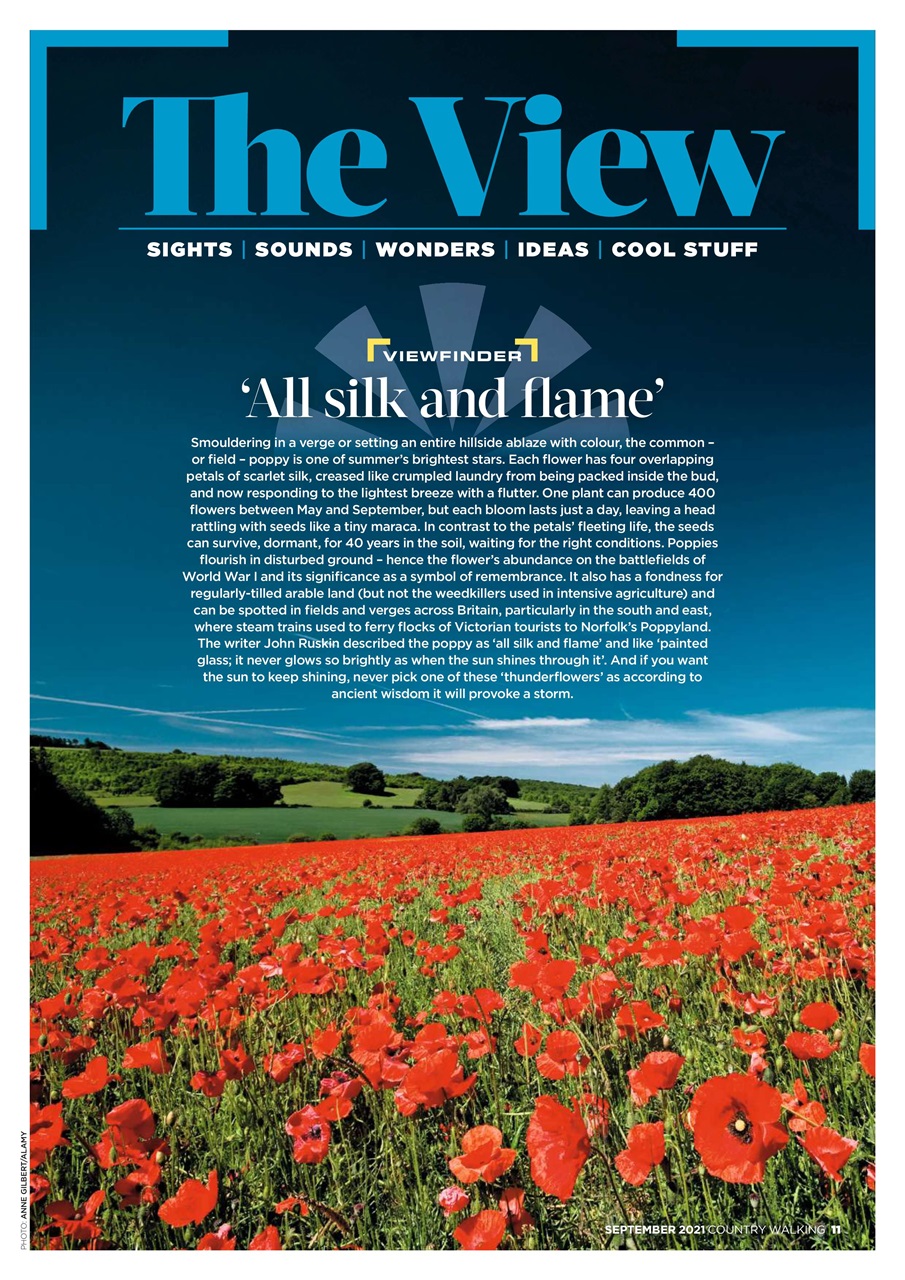 Country Walking Preview Pages