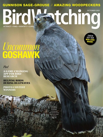 Sep/ Oct 2021 issue Sep/ Oct 2021