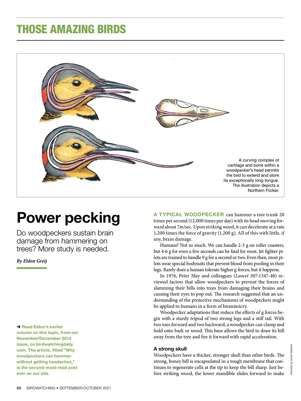 BirdWatching Preview Pages