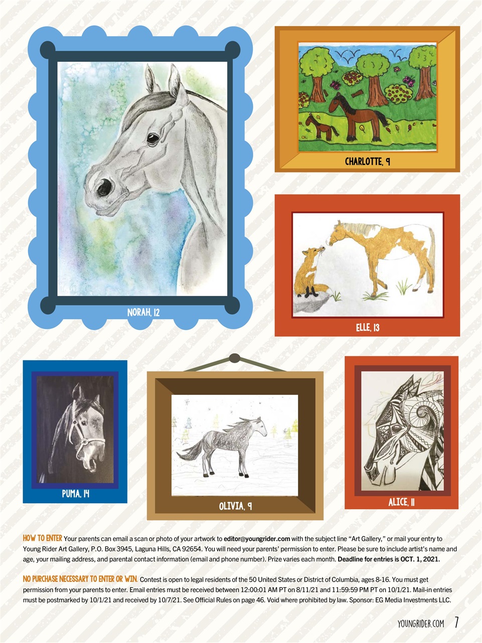 Young Rider Magazine Preview Pages