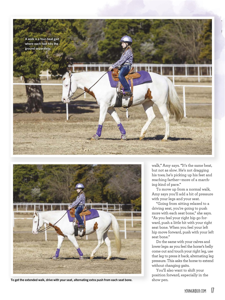 Young Rider Magazine Preview Pages