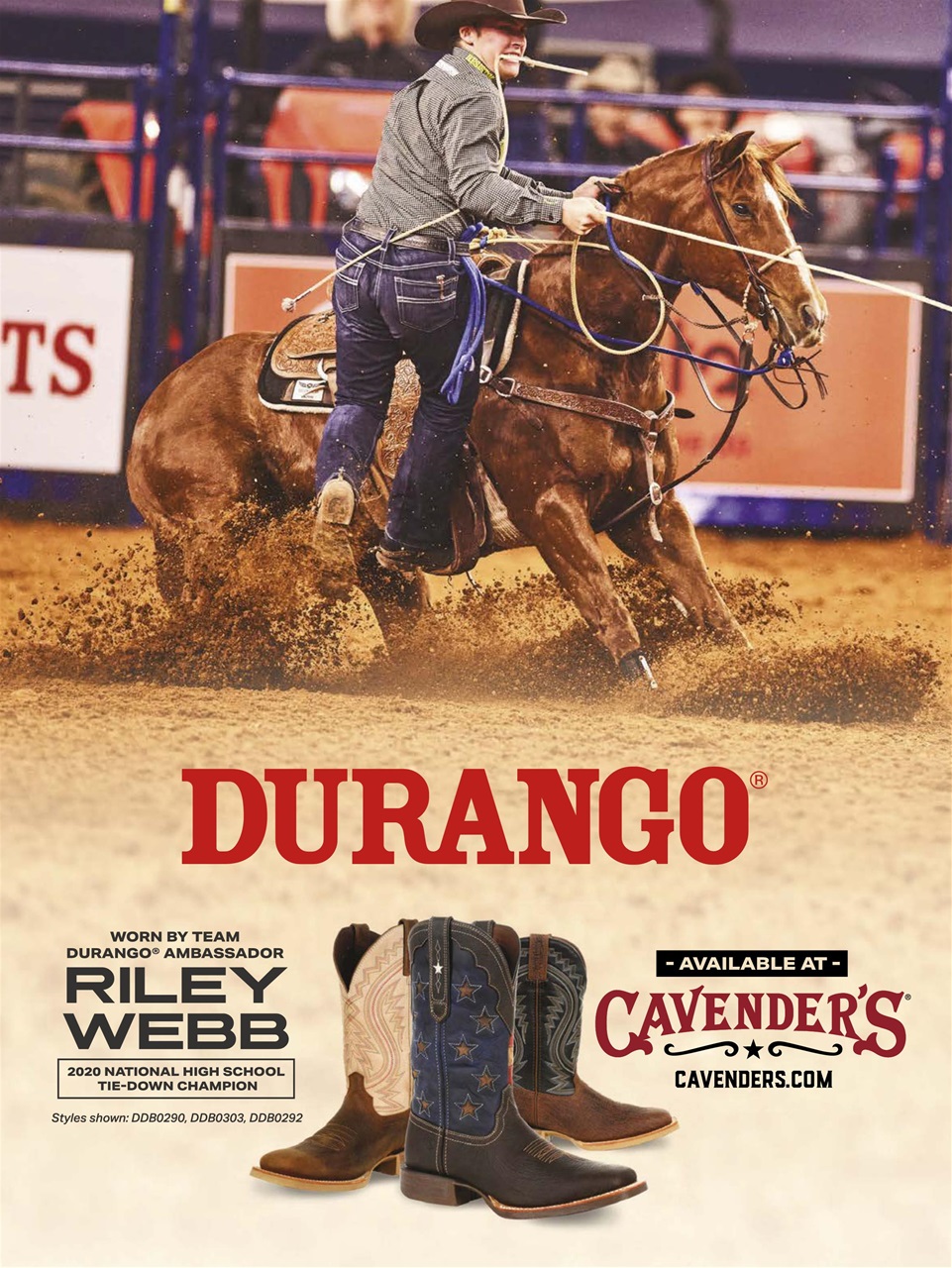 Young Rider Magazine Preview Pages