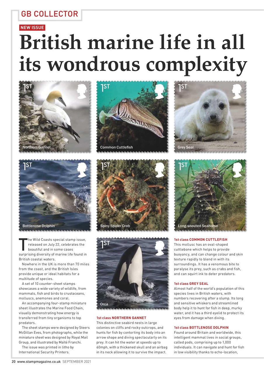 Stamp Magazine Preview Pages