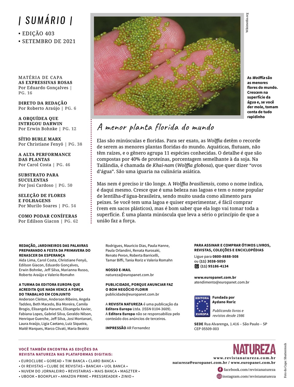 Natureza Preview Pages