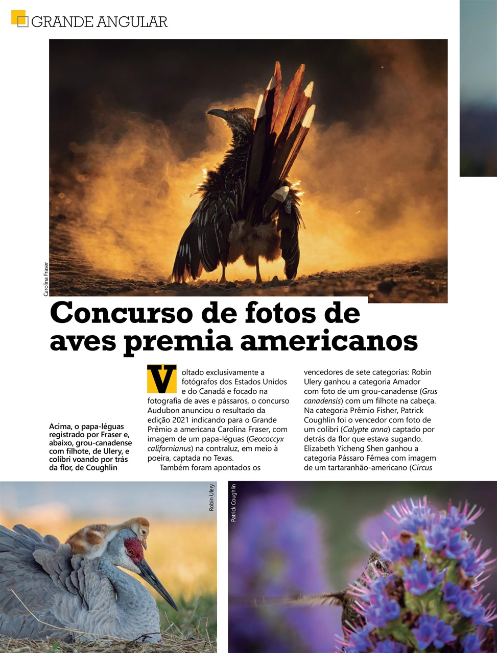 Fotografe Preview Pages