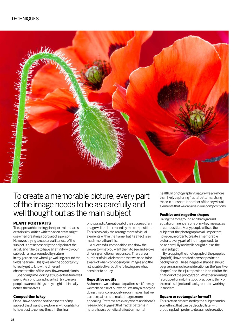 Digital Photographer Preview Pages