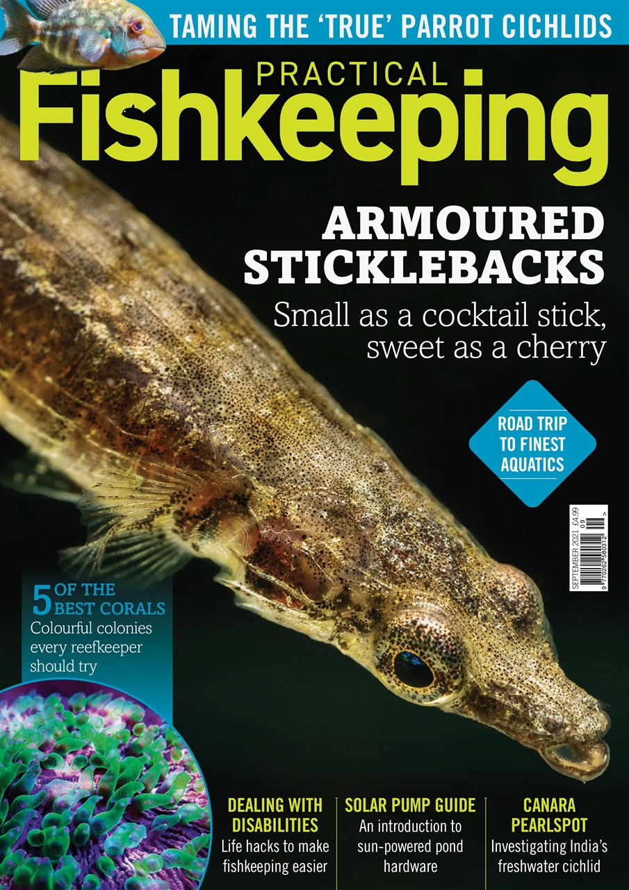 Practical Fishkeeping Preview Pages