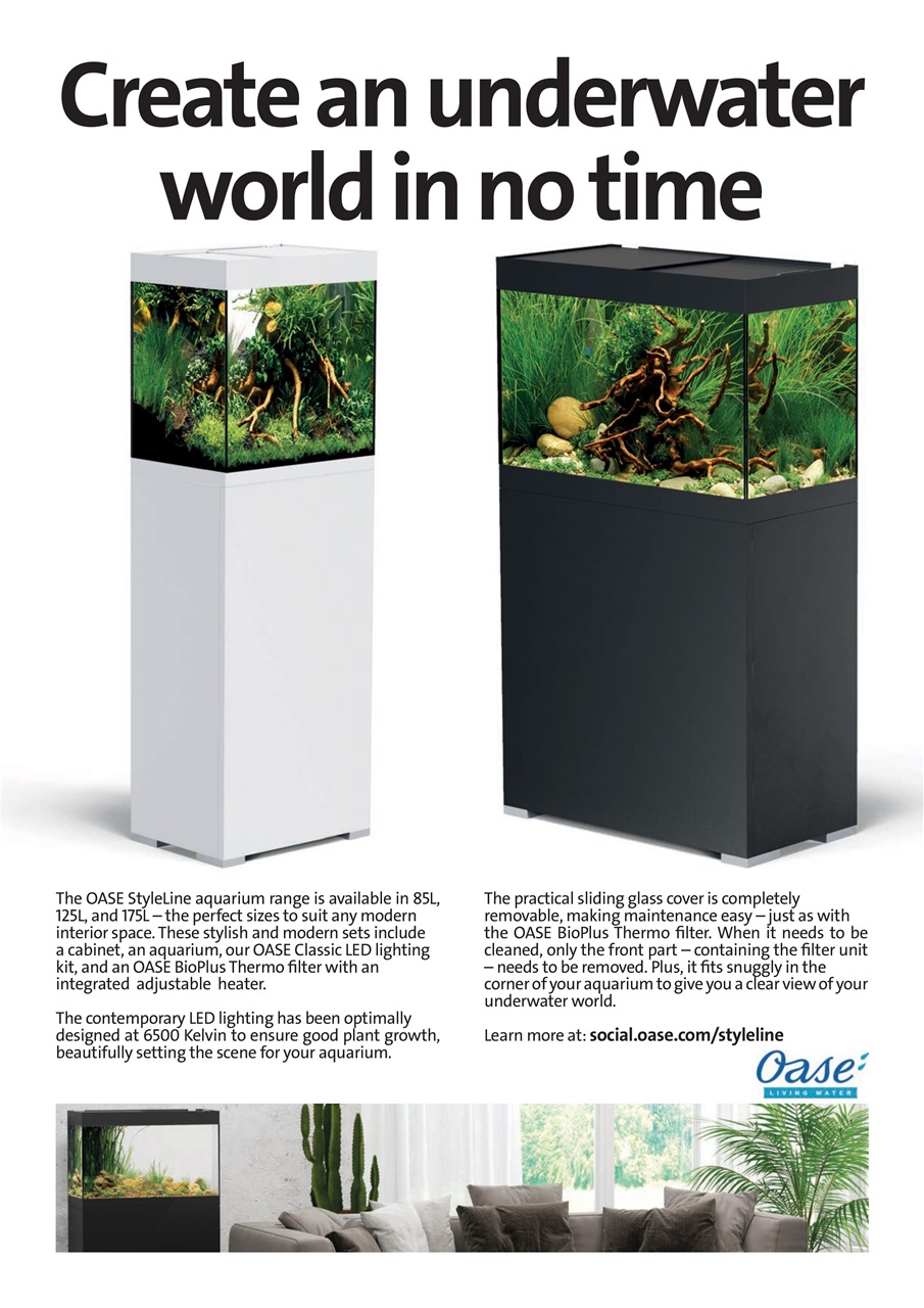 Practical Fishkeeping Preview Pages