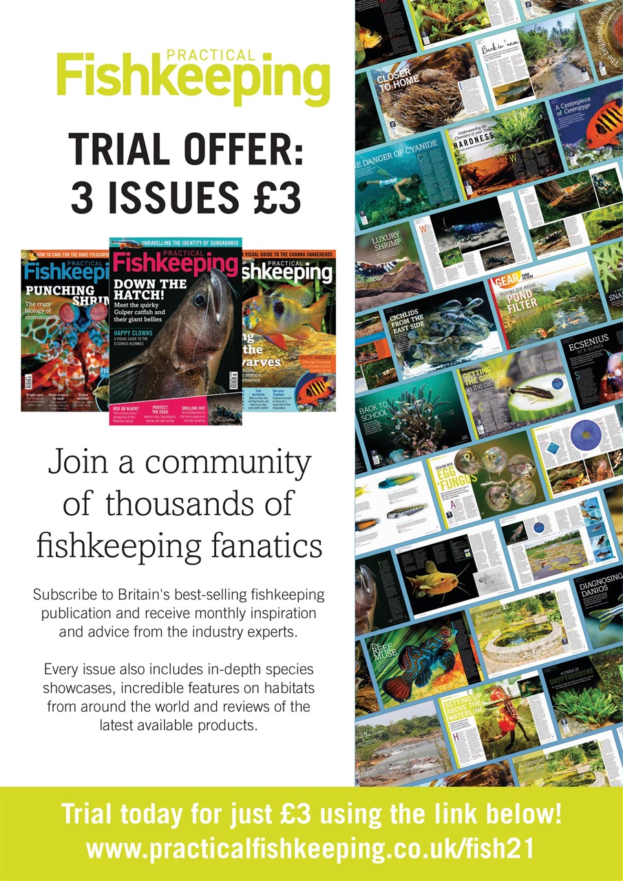 Practical Fishkeeping Preview Pages