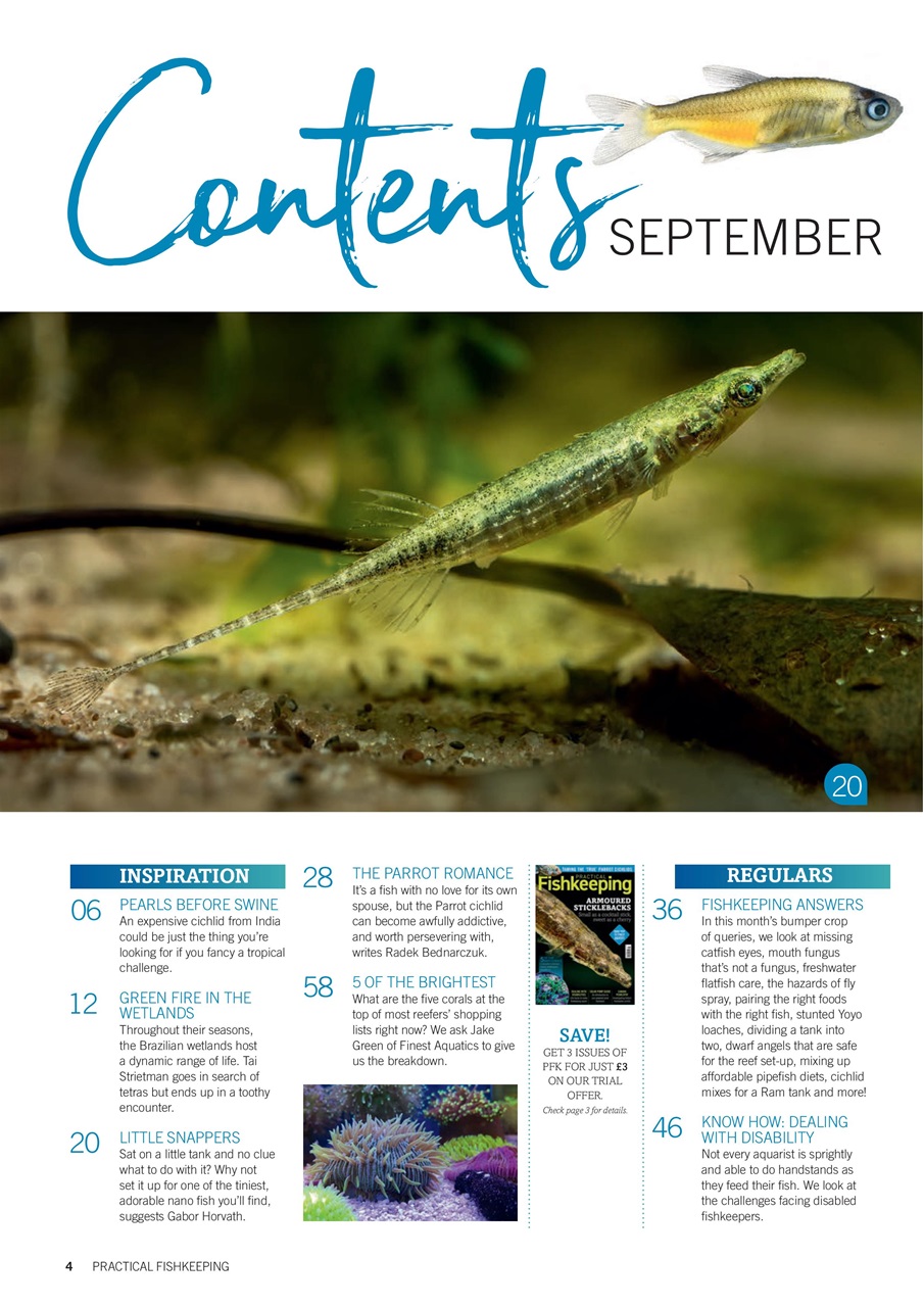 Practical Fishkeeping Preview Pages