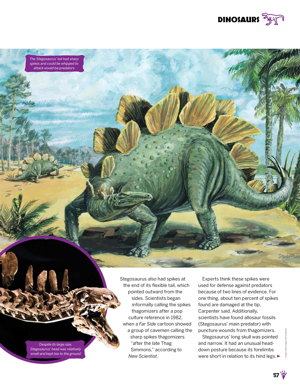 How It Works Bookazine Preview Pages