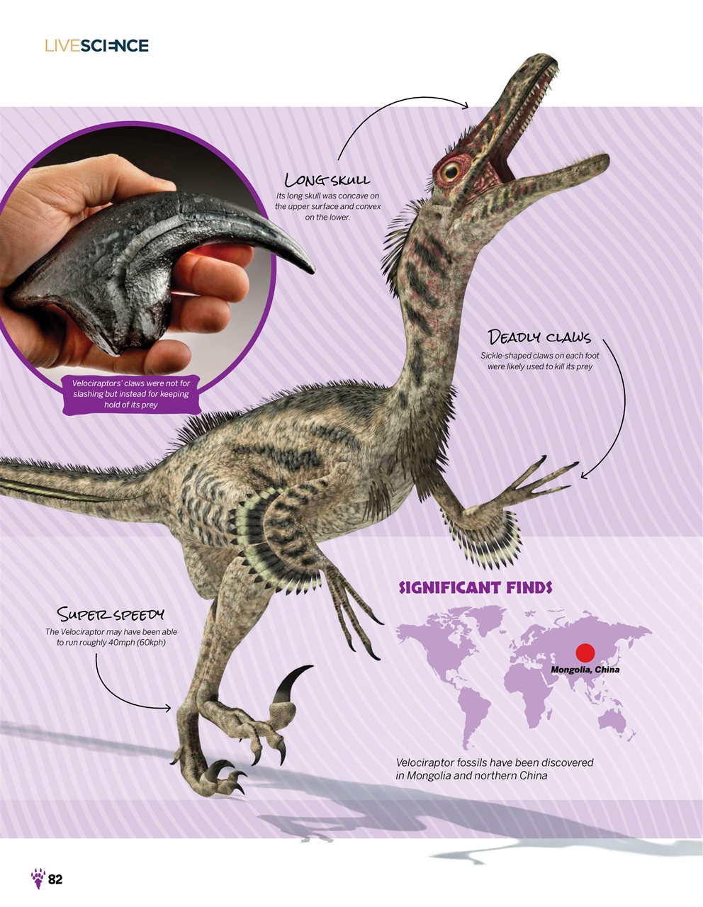 How It Works Bookazine Preview Pages