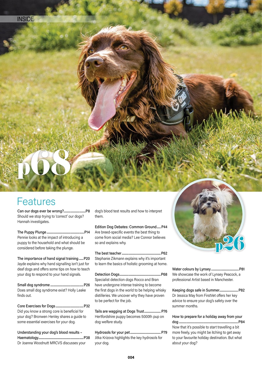 Edition Dog Preview Pages