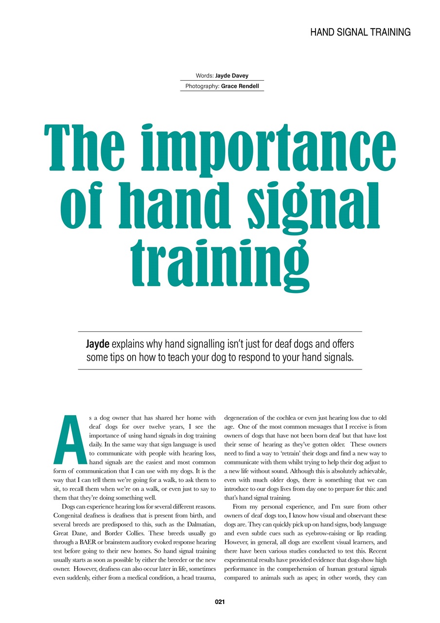 Edition Dog Preview Pages