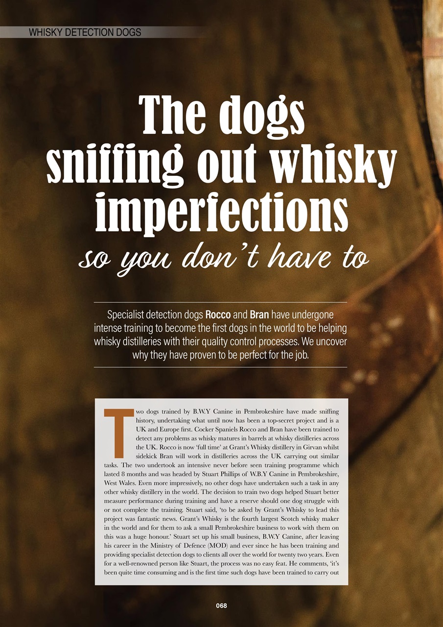 Edition Dog Preview Pages