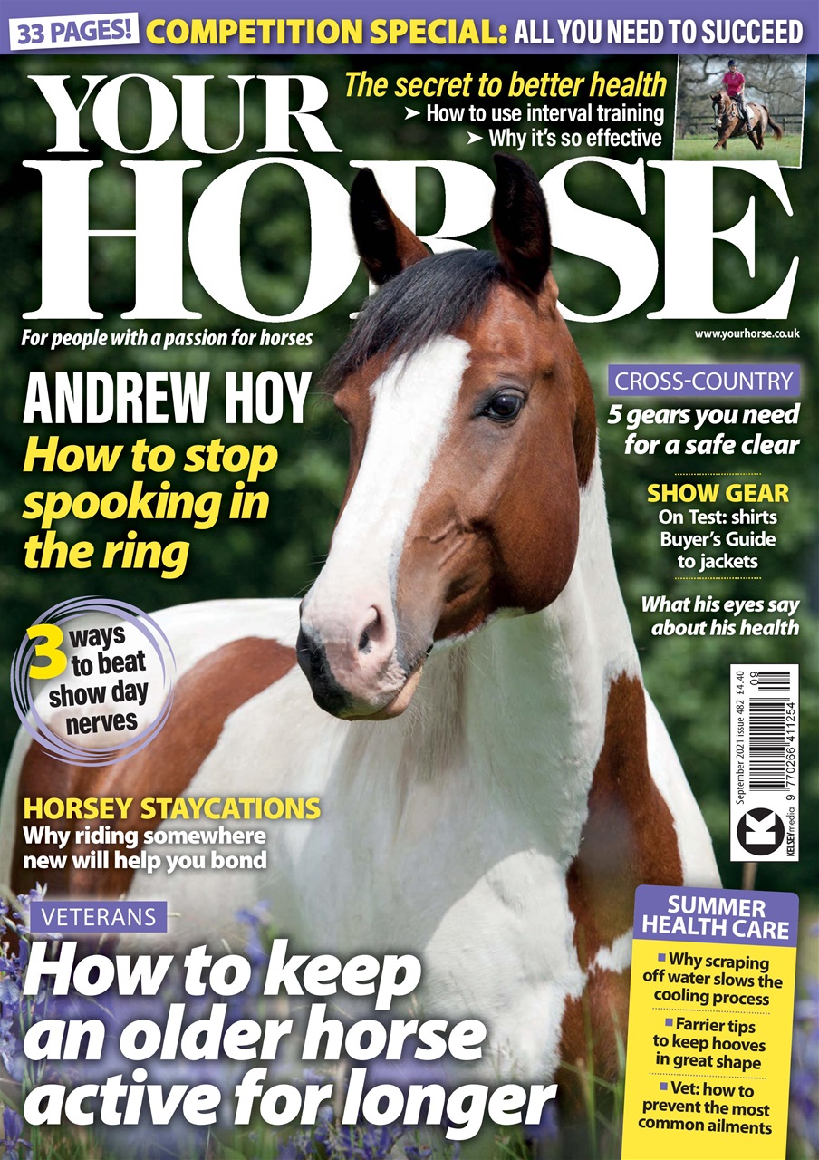 Your Horse Preview Pages