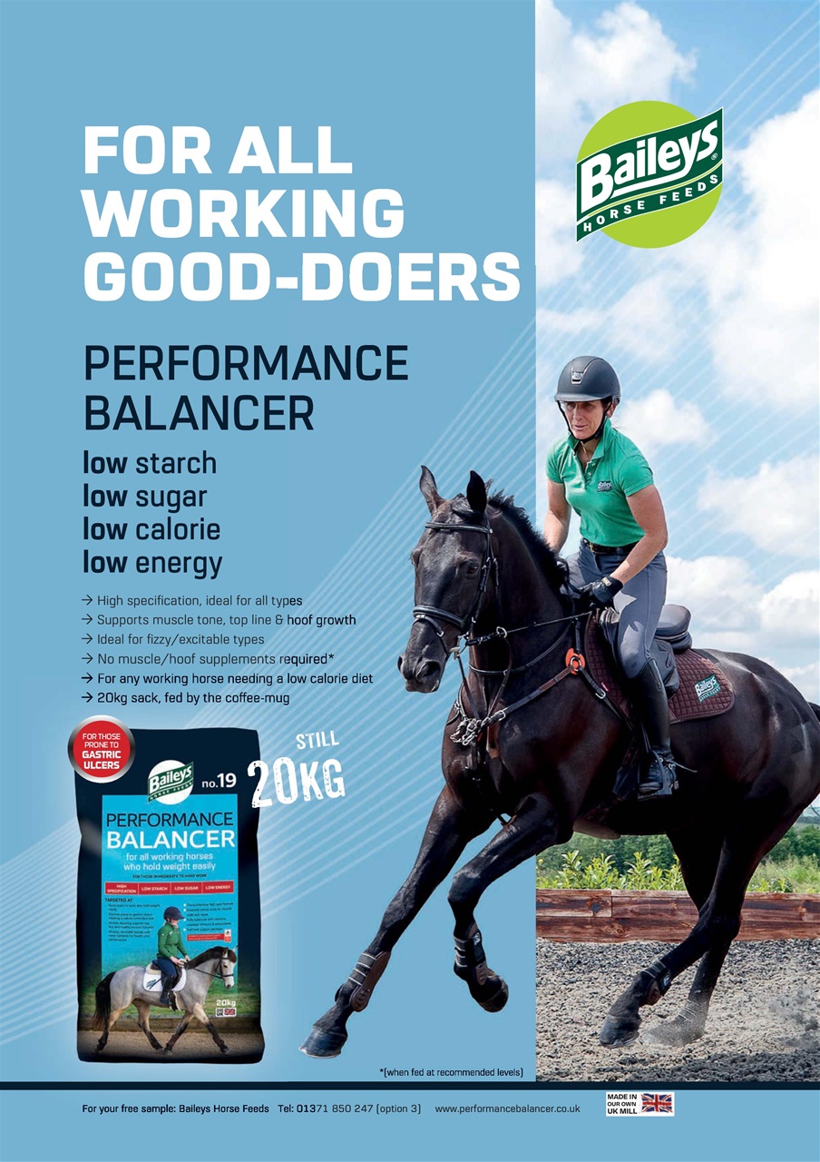 Your Horse Preview Pages