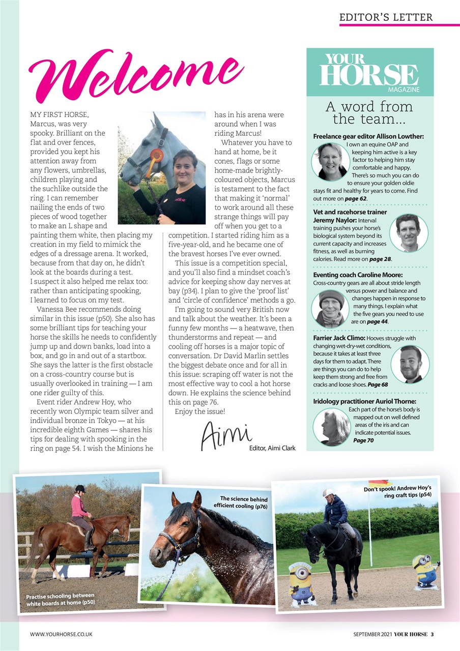 Your Horse Preview Pages