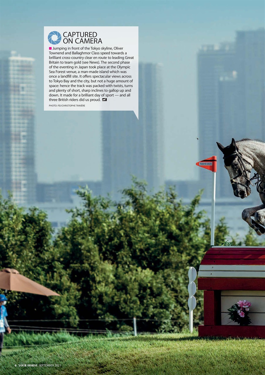 Your Horse Preview Pages