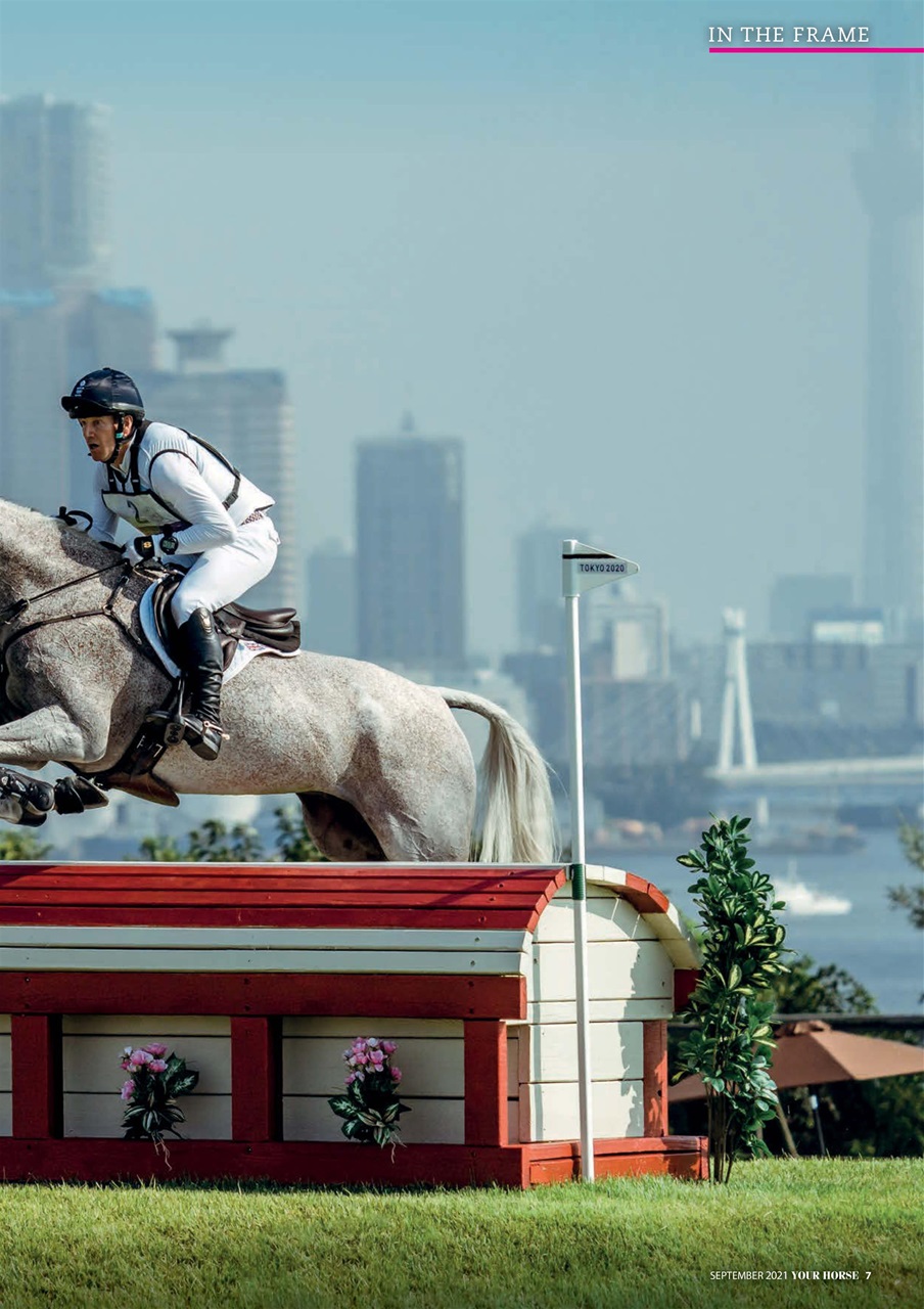 Your Horse Preview Pages
