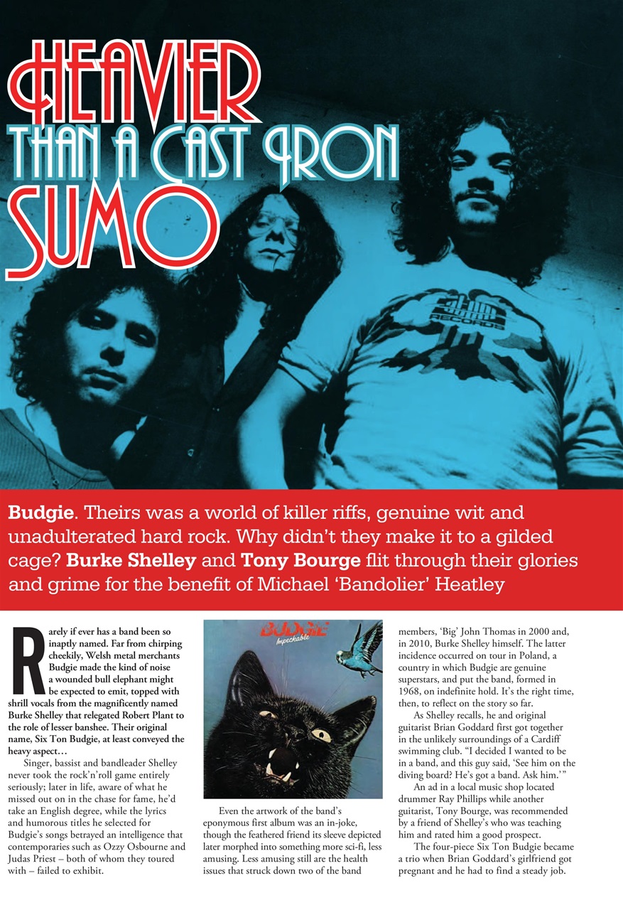 Record Collector Preview Pages