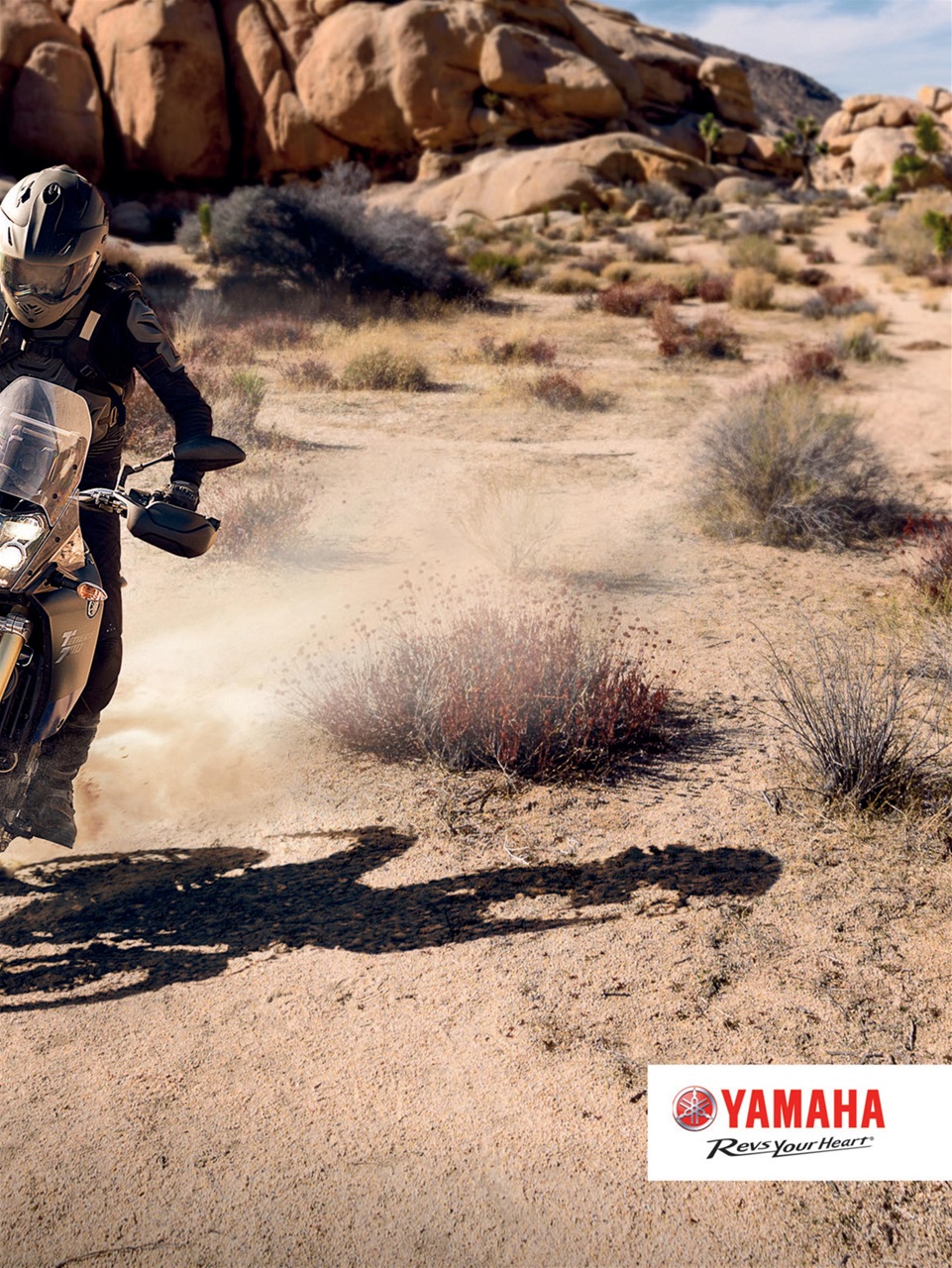 Rider Magazine Preview Pages