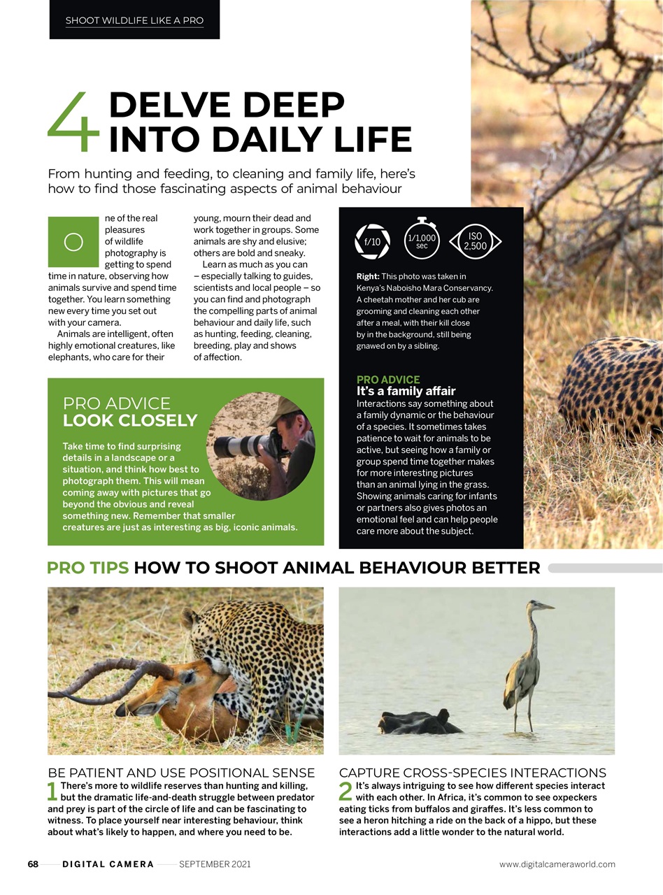 Digital Camera Magazine Preview Pages