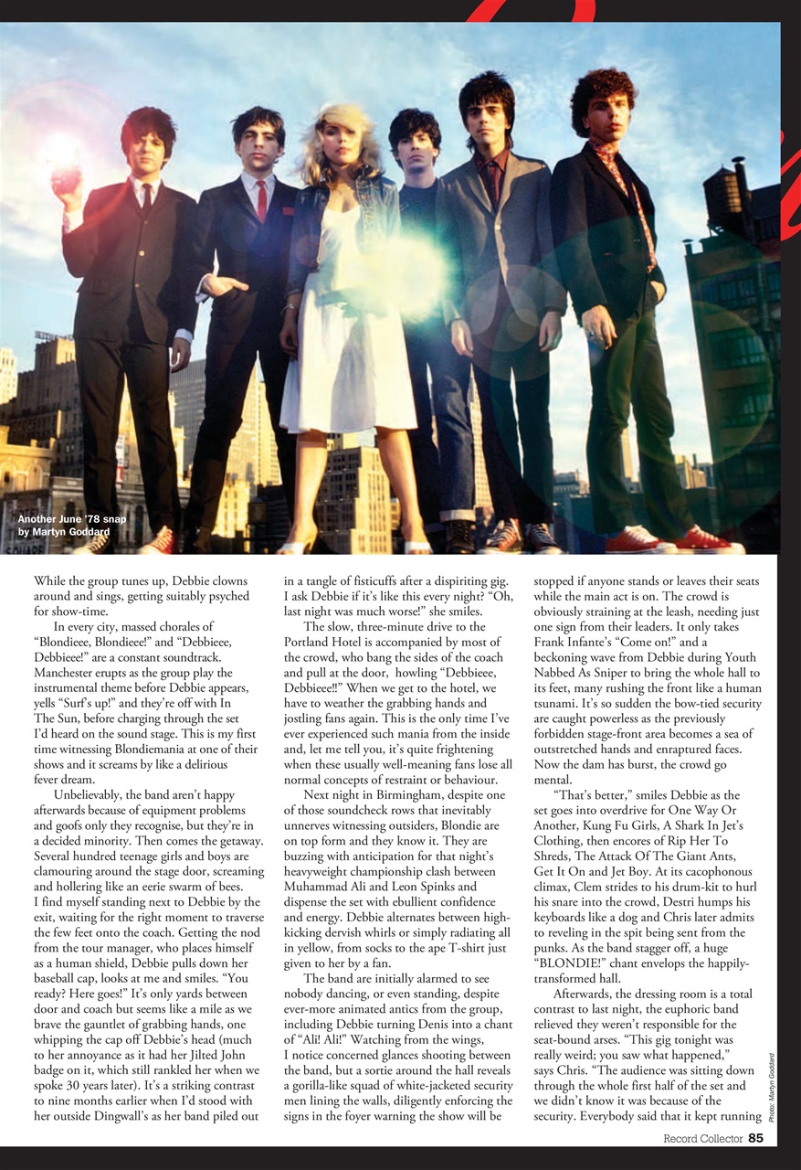 Record Collector Preview Pages