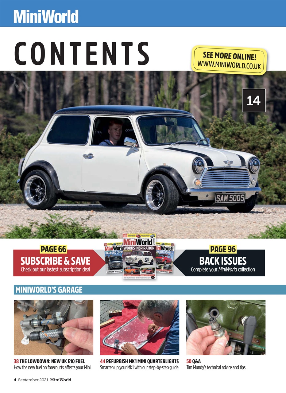 Mini World Preview Pages