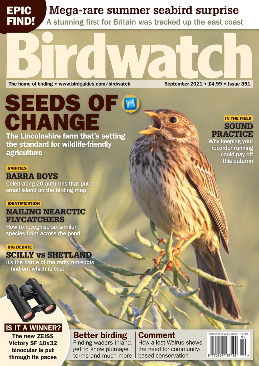 Birdwatch Magazine Preview Pages