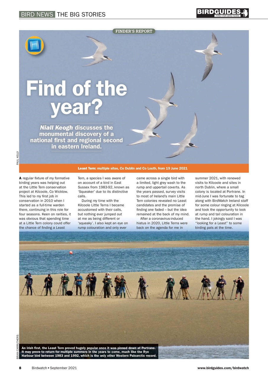 Birdwatch Magazine Preview Pages