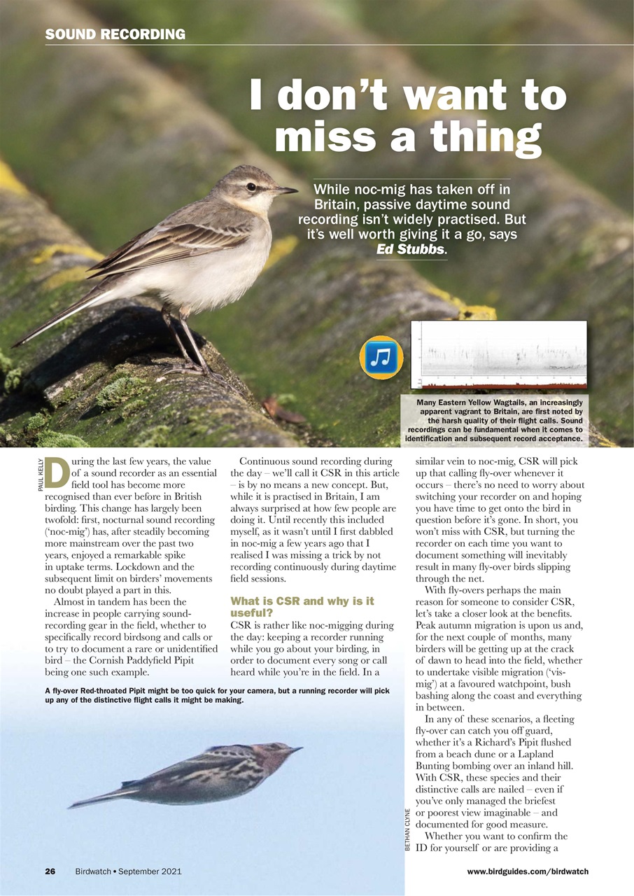 Birdwatch Magazine Preview Pages