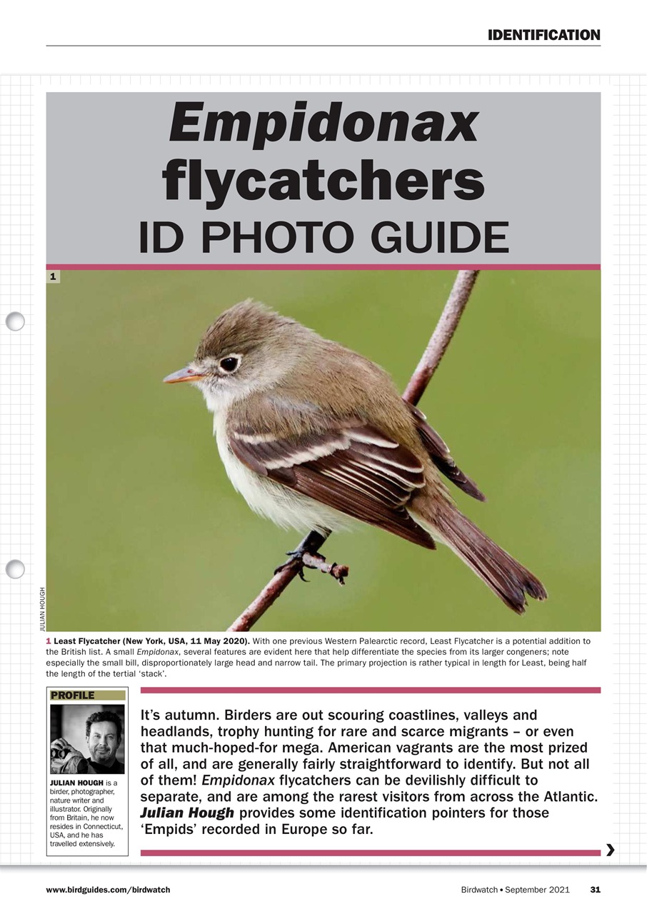 Birdwatch Magazine Preview Pages